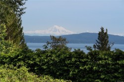 805 Yole Pl Saanich, BC V8Y 3B1