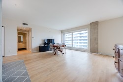Salon - 