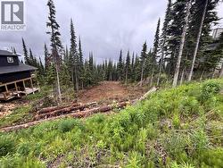 192 ALPINE WAY Smithers, BC V0J 2N0