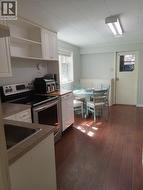lower suite kitchen - 