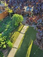 back yard - 