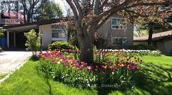 5 COTTONWOOD DRIVE Toronto, ON M3C 2B3