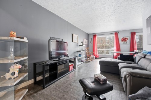 Living Room - 205-4798 Rue De Gaspé, Sherbrooke (Brompton/Rock Forest/Saint-Élie/Deauville), QC - Indoor Photo Showing Living Room