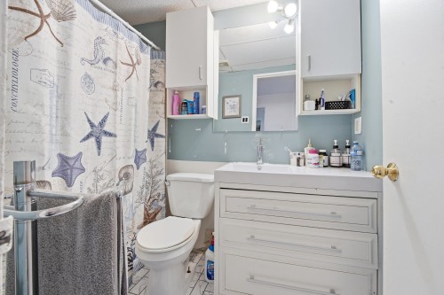 Bathroom - 205-4798 Rue De Gaspé, Sherbrooke (Brompton/Rock Forest/Saint-Élie/Deauville), QC - Indoor Photo Showing Bathroom