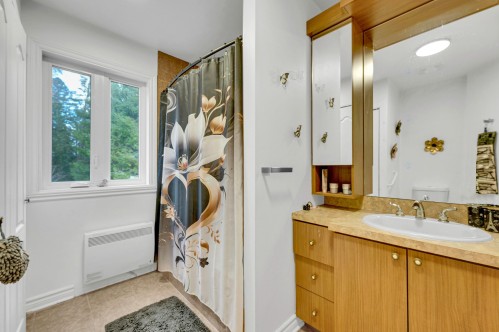 Bathroom - 1090 Rue De L'Orée-Des-Bois, Sainte-Adèle, QC - Indoor Photo Showing Bathroom