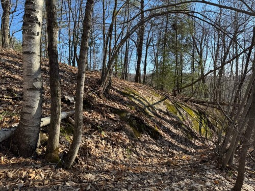 Boisé - 122 Mtée Robinson, Saint-Sixte, QC 