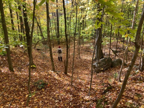 Boisé - 122 Mtée Robinson, Saint-Sixte, QC 