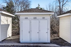 Shed - 