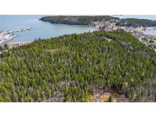 - Chance Harbour Rd, Chance Harbour, NB 