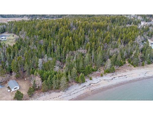 - Chance Harbour Rd, Chance Harbour, NB 