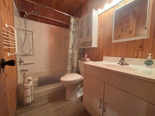 Salle de bains - 151 Ch. Lassonde, Sutton, QC - Indoor Photo Showing Bathroom
