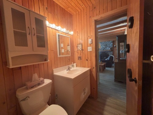Salle de bains - 151 Ch. Lassonde, Sutton, QC - Indoor Photo Showing Bathroom
