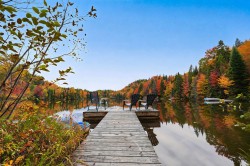 Bord de l'eau - 