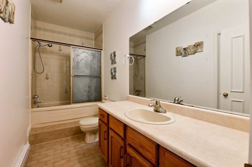 Bathroom - 1-1501 Rue Notre-Dame O., Montréal (Ville-Marie), QC - Indoor Photo Showing Bathroom