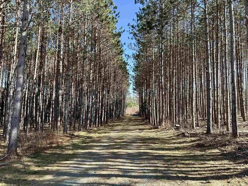 Lot 24-3 Ridge Road, North Range, NS 