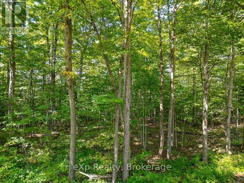 Ptlt 30 30Th Sideroad Ndr, West Grey, ON 