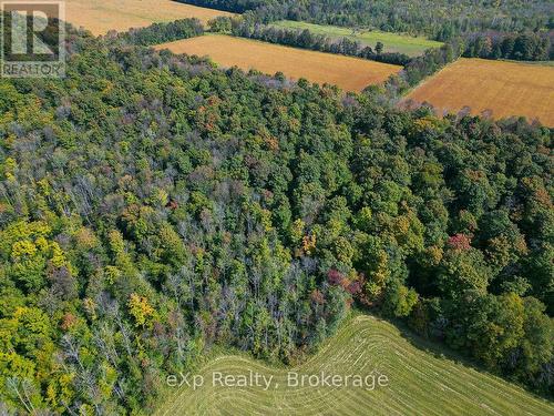 Ptlt 30 30Th Sideroad Ndr, West Grey, ON 
