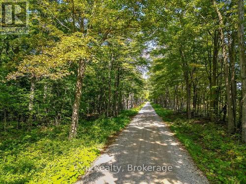 Ptlt 30 30Th Sideroad Ndr, West Grey, ON 