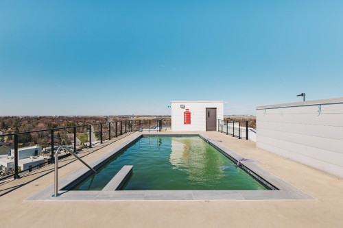 Piscine - 809-8 Av. Donegani, Pointe-Claire, QC -  With In Ground Pool