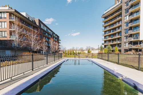 Piscine - 809-8 Av. Donegani, Pointe-Claire, QC - Outdoor
