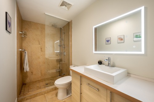 Salle de bains - 6-1240 Rue St-Timothée, Montréal (Ville-Marie), QC - Indoor Photo Showing Bathroom