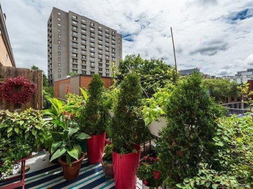 Autre - 6-1240 Rue St-Timothée, Montréal (Ville-Marie), QC - Outdoor