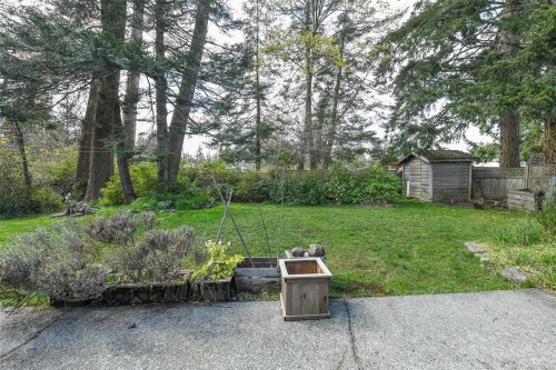 369 Douglas St, Comox, BC 