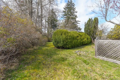 369 Douglas St, Comox, BC 
