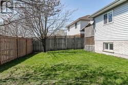 Back Yard - 