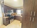 66 Grenadier Drive, Hamilton, ON  - Indoor Photo Showing Kitchen With Stainless Steel Kitchen With Double Sink 