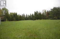 0 MURPHY ROAD Greater Madawaska, ON K0J 1G0