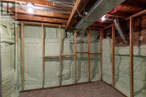 29 Greslet Place, Cbs, NL - Indoor Photo Showing Basement