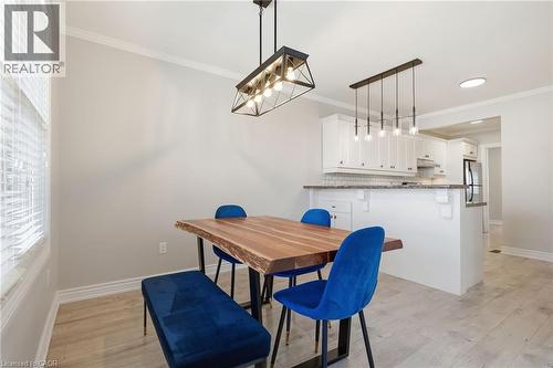 Open concept dining living and kitchen - 78 Glendale Avenue N, Hamilton, ON - Indoor Photo Showing Dining Room