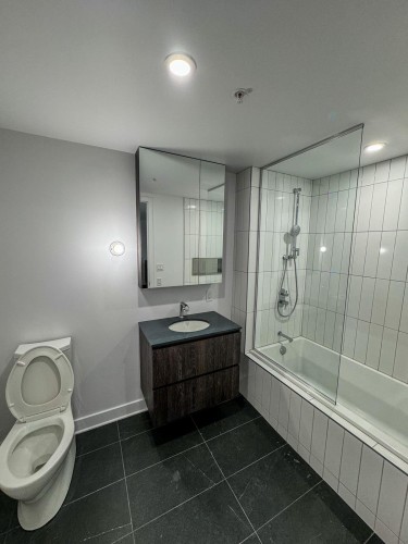 Master Bathroom - 1102-100 Rue Murray, Montréal (Le Sud-Ouest), QC - Indoor Photo Showing Bathroom
