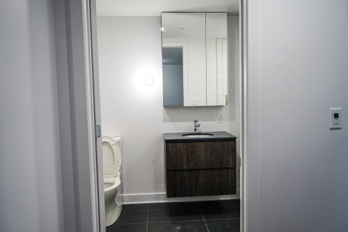 Master Bathroom - 1102-100 Rue Murray, Montréal (Le Sud-Ouest), QC - Indoor Photo Showing Bathroom