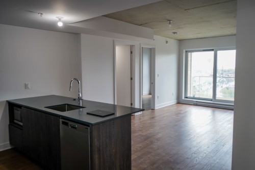 Overall view - 1102-100 Rue Murray, Montréal (Le Sud-Ouest), QC - Indoor