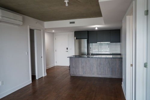 Kitchen - 1102-100 Rue Murray, Montréal (Le Sud-Ouest), QC - Indoor