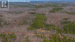 LOT 53/54 WEST BACK LINE Chatsworth, ON N0C 1H0