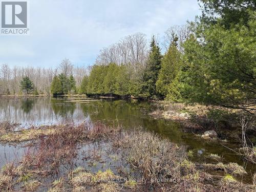 Lot 53/54 West Back Line, Chatsworth, ON 