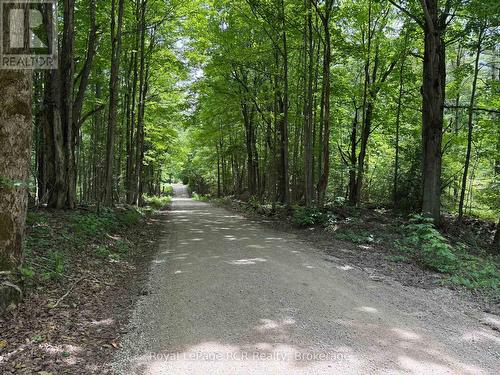 Lot 53/54 West Back Line, Chatsworth, ON 