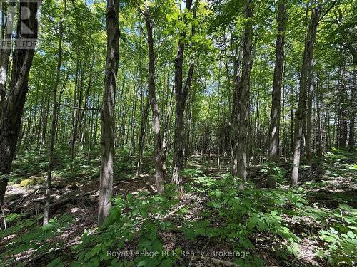 Lot 53/54 West Back Line, Chatsworth, ON 
