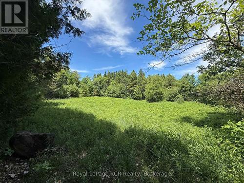 Lot 53/54 West Back Line, Chatsworth, ON 