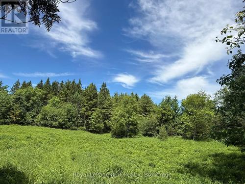 Lot 53/54 West Back Line, Chatsworth, ON 