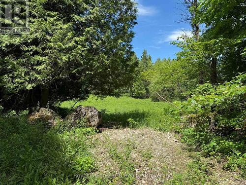 Lot 53/54 West Back Line, Chatsworth, ON 