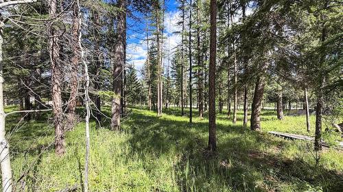 4125 21St Street, Cranbrook, BC 