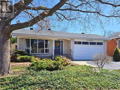 665 Golden Avenue, Ottawa, ON - Outdoor