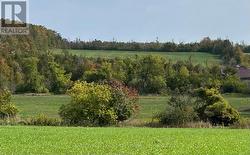 58111 12TH LINE (13 ACRE SEVERED PARCEL) ROAD  Meaford, ON N4L 1W5