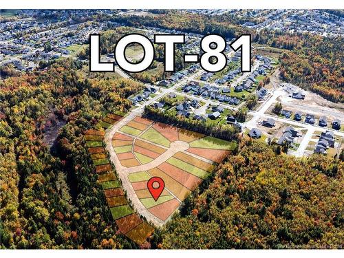 81 Mitchell Wayne Dr, Fredericton, NB 