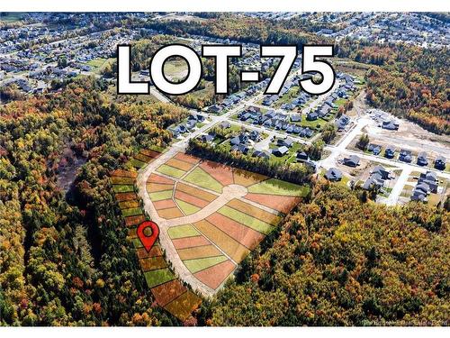 75 Mitchell Wayne Dr, Fredericton, NB 