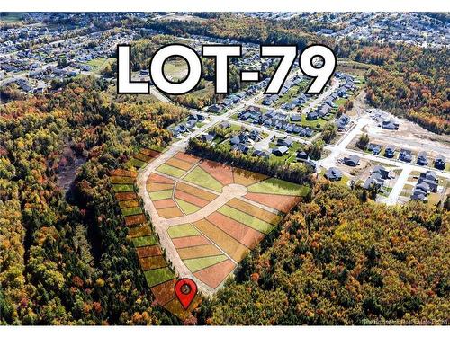 79 Mitchell Wayne Dr, Fredericton, NB 